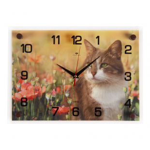 2535-066 Часы настенные "Кот и цветы"