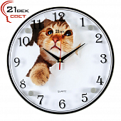 3030-1108 Часы настенные "Кот в бумаге"